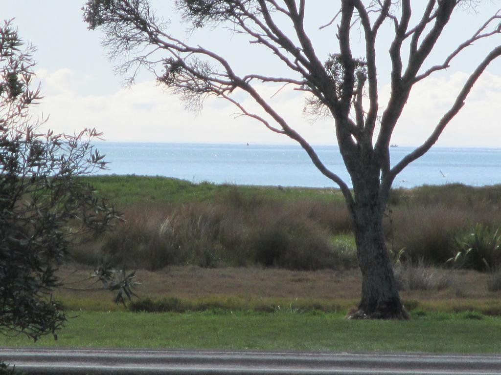 The Chocolate Box Apartment Whitianga Bilik gambar