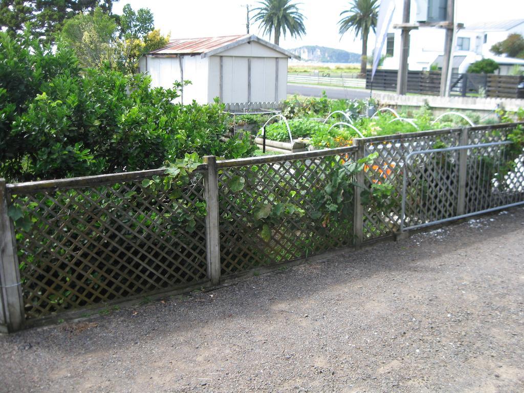 The Chocolate Box Apartment Whitianga Bilik gambar